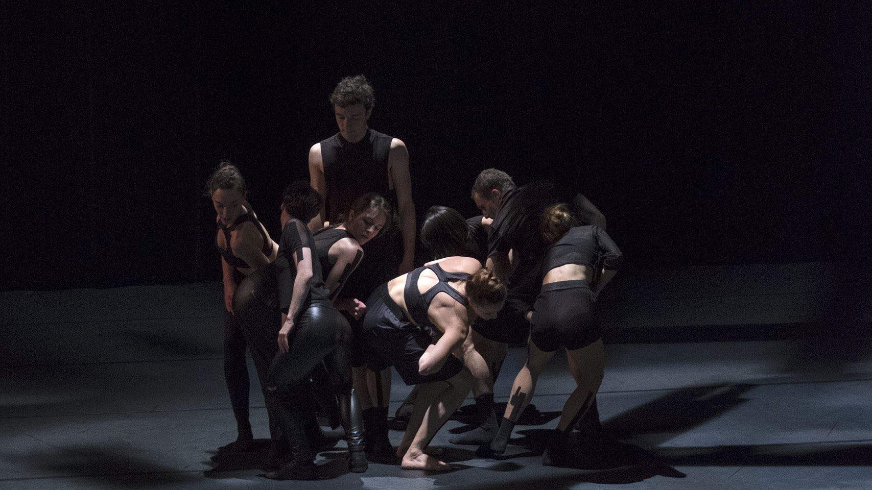 The Falling Stardust