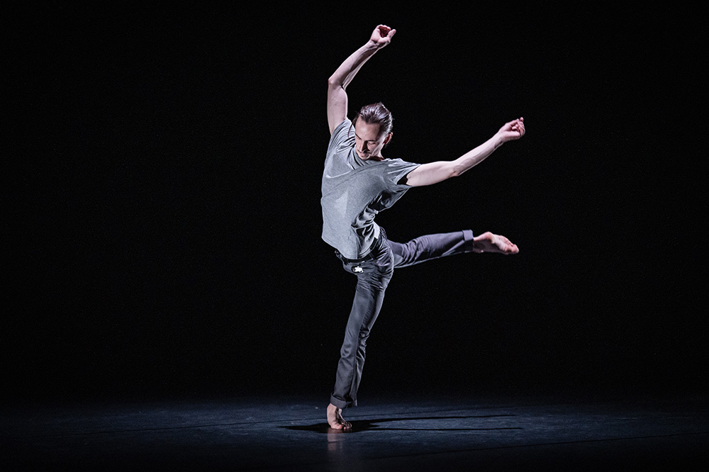 Festival Constellations