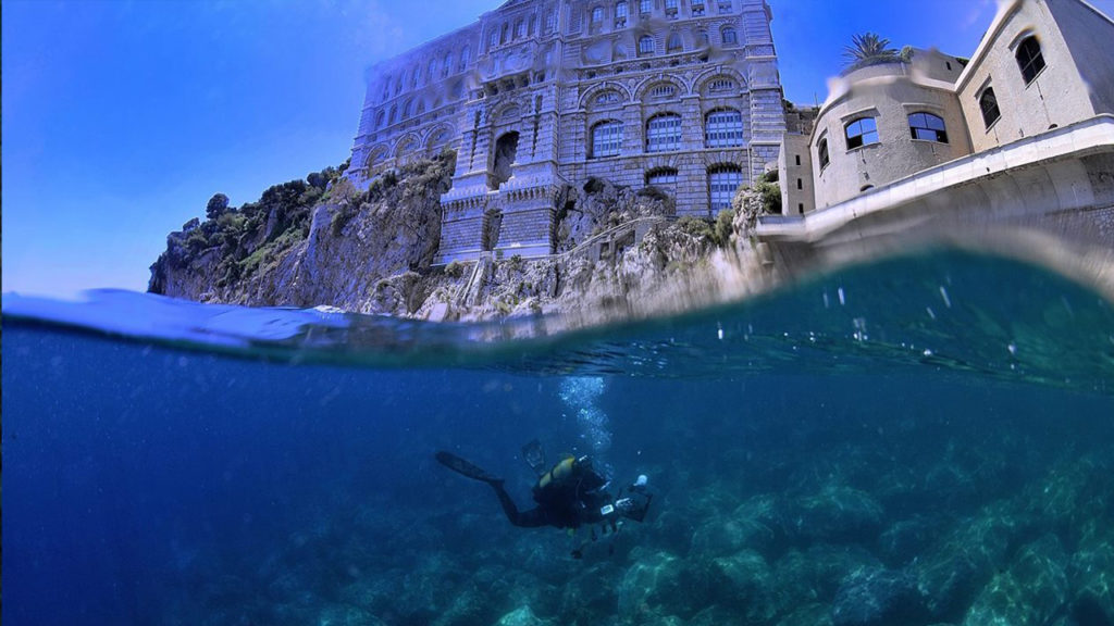 Installation du Musée Océanographique de Monaco