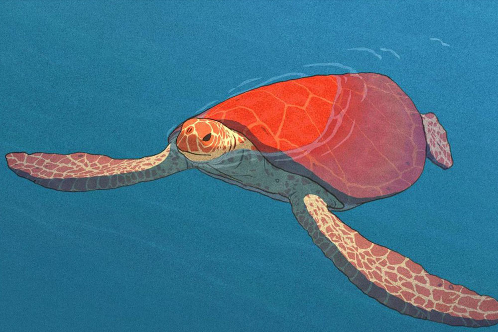 La Tortue Rouge