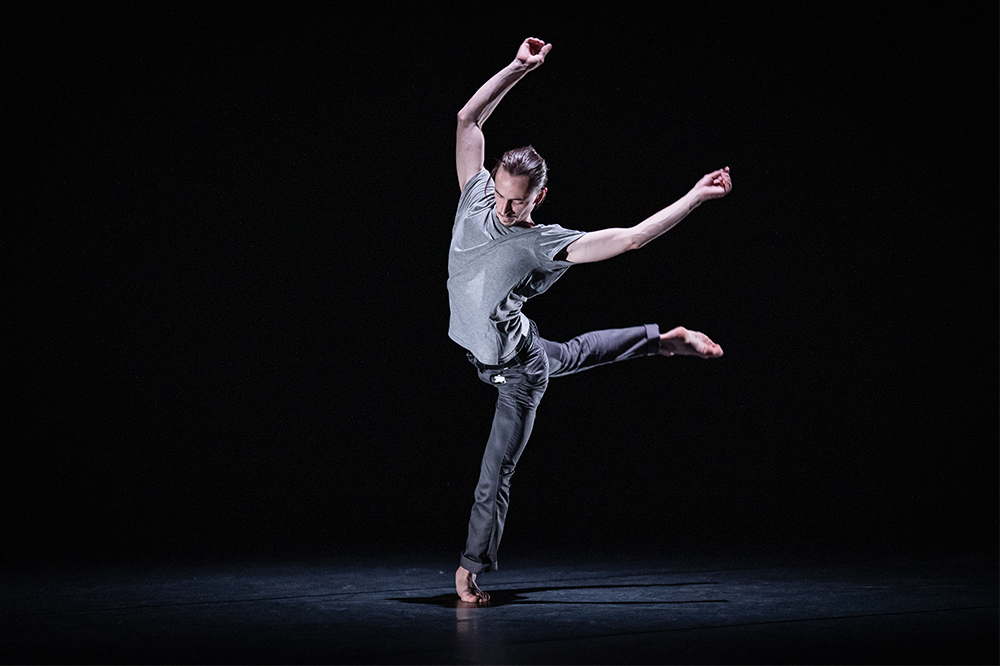 Emprise Maxime Cozic