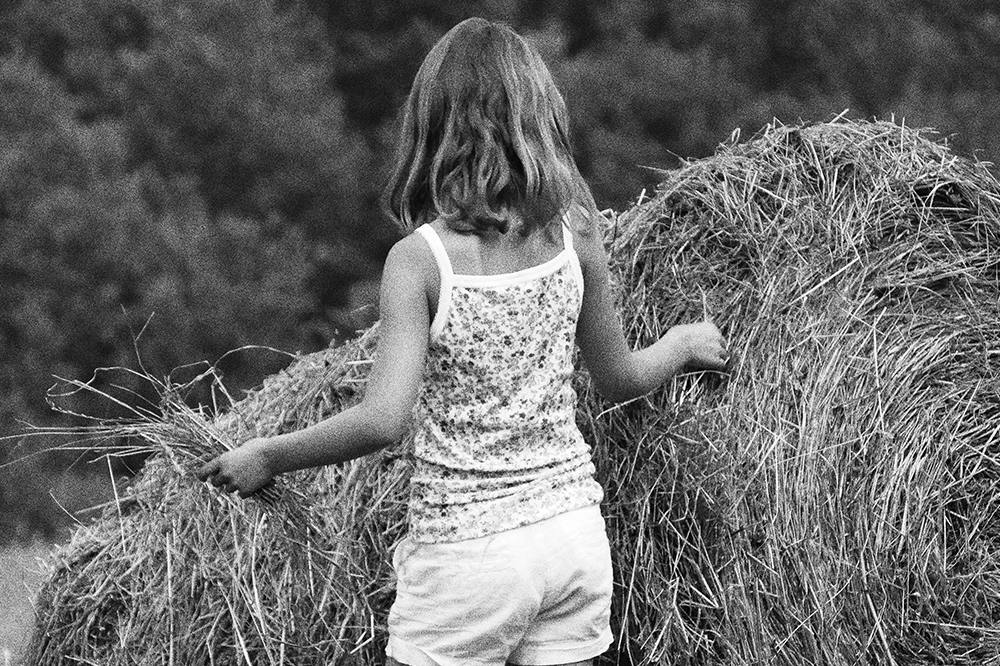 L'Arbre le maire et la médiathèque