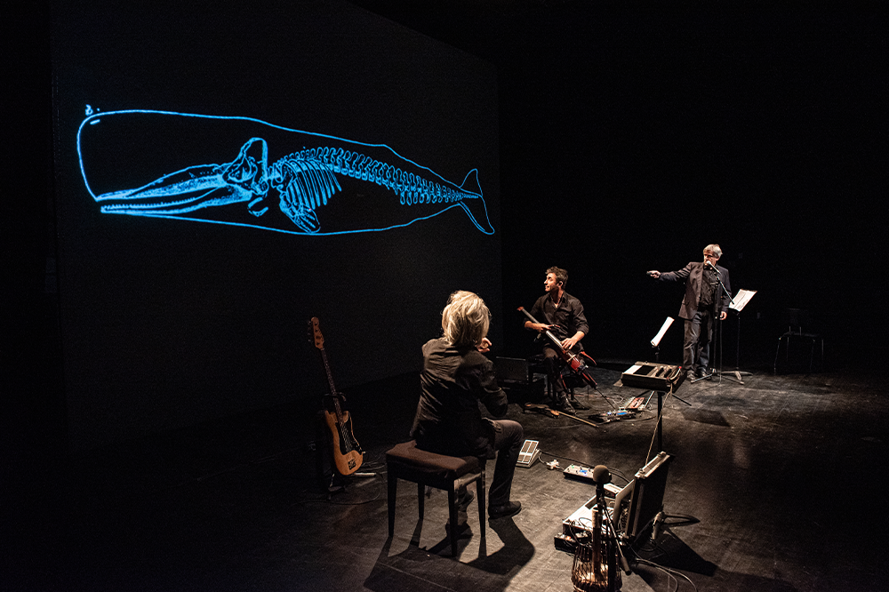 Le Retour de Moby Dick