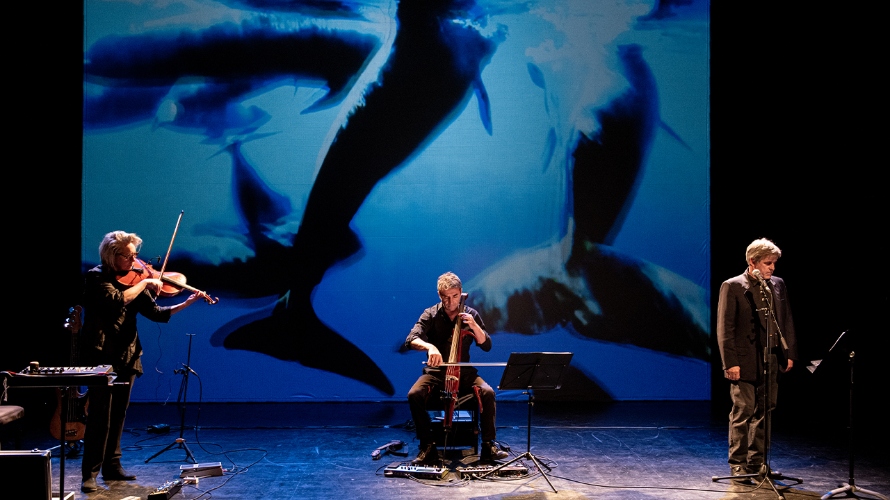 Le Retour de Moby Dick