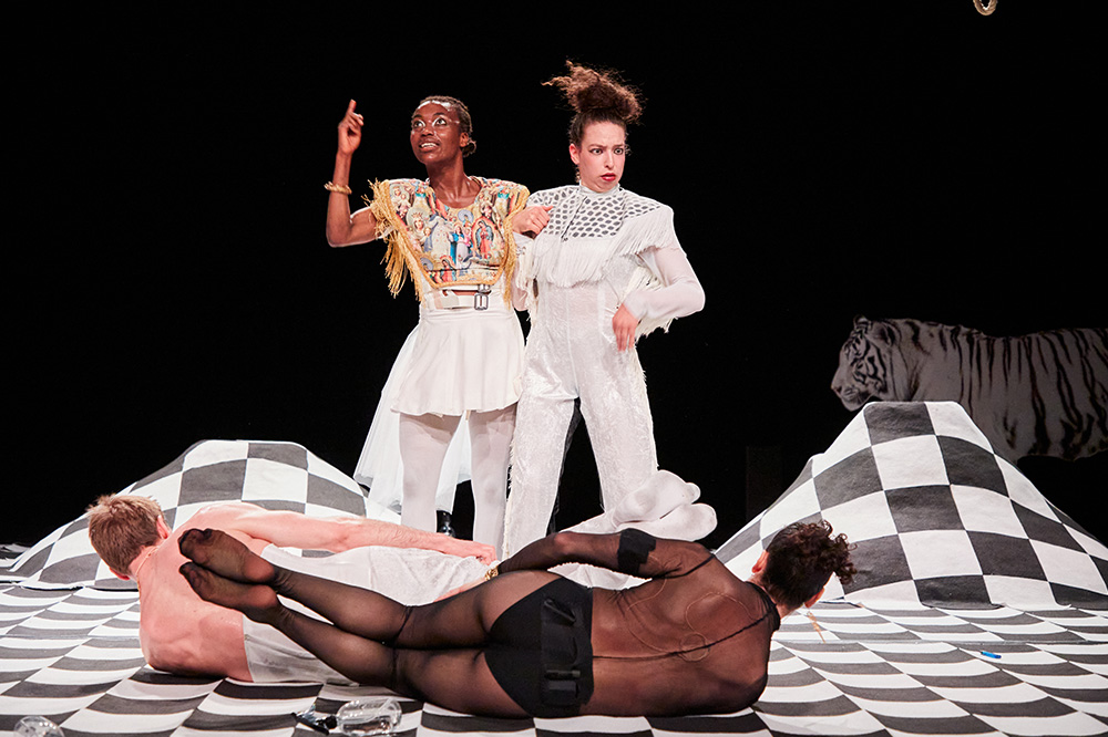 Sovaco de Cobra 1000 4